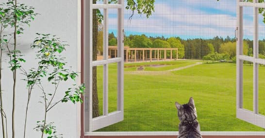 pet window screen pet window screen